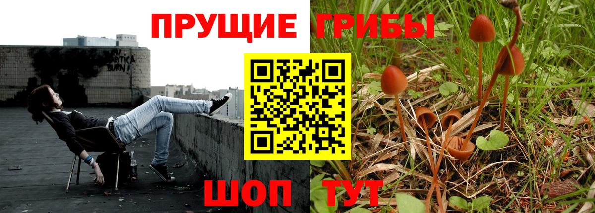 как найти наркотики  Галлюциногенные грибы прущие грибы  Вход с VPN  Комсомольск-на-Амуре 